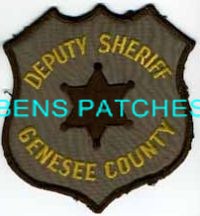 MICHIGAN,A,GENESEE COUNTY SHERIFF 4_wm